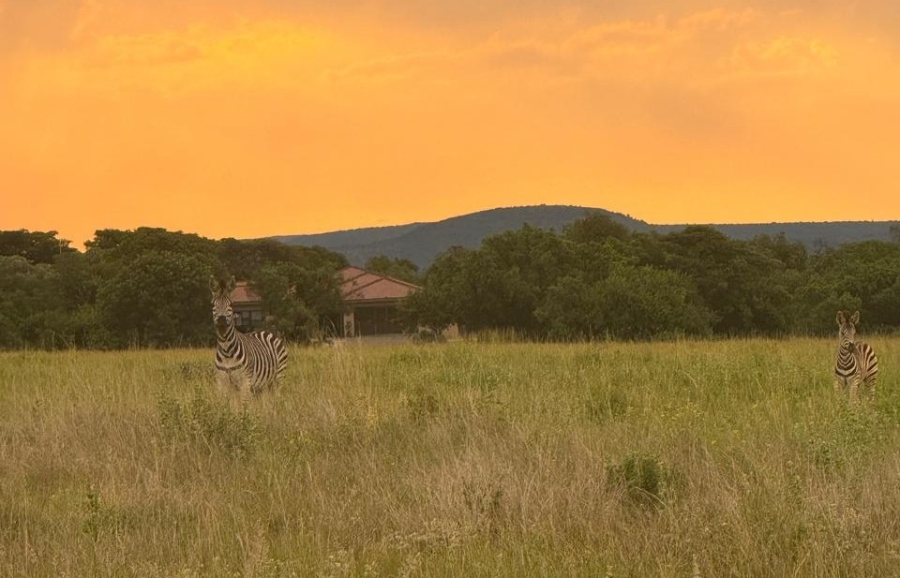 0 Bedroom Property for Sale in Swartruggens North West